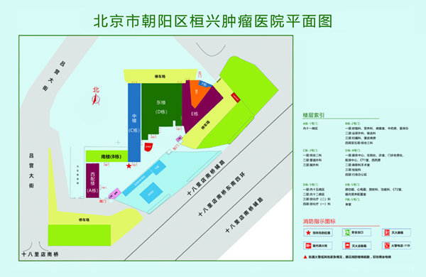 170的c操逼视频网站北京市朝阳区桓兴肿瘤医院平面图